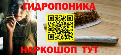 мдпв Славгород