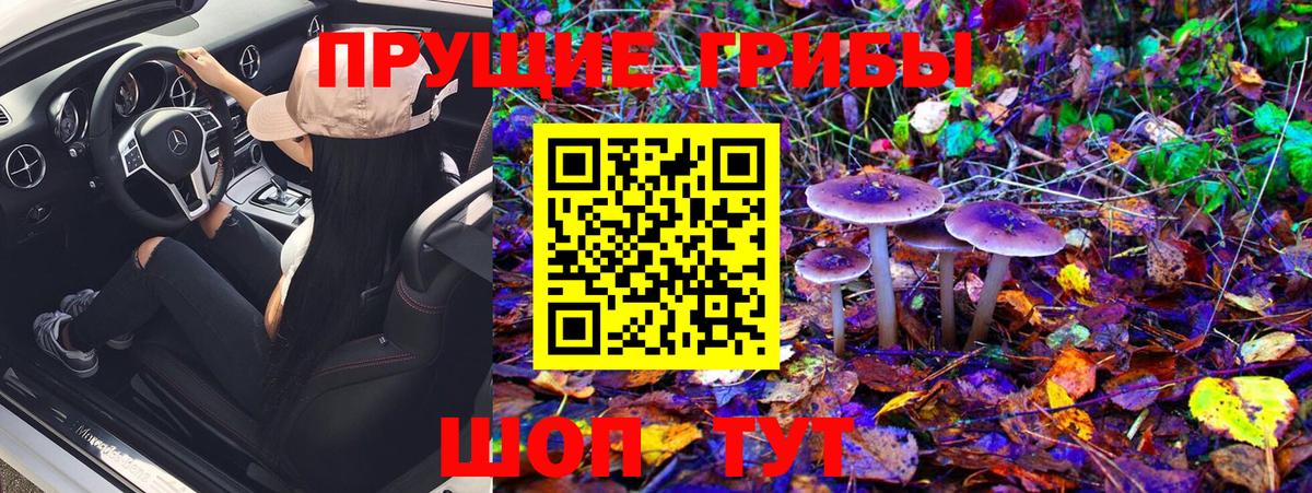 Псилоцибиновые грибы Cubensis  Вход с VPN  купить  цена  Бердск 