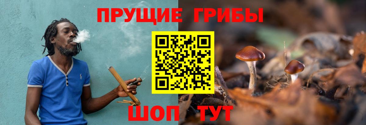 Каннабис  ГАШ  Гашиш  Бердск  ЭКСТАЗИ  Меф   Вход с VPN  Лсд 25 